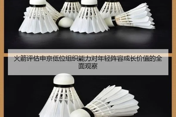 火箭评估申京低位组织能力对年轻阵容成长价值的全面观察