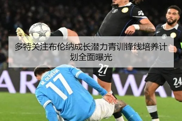多特关注布伦纳成长潜力青训锋线培养计划全面曝光